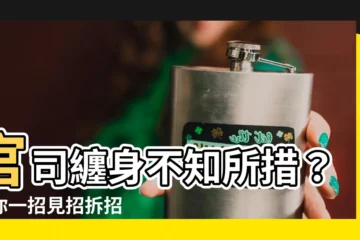 【官事悠悠難辨明】官司纏身不知所措？教你一招見招拆招