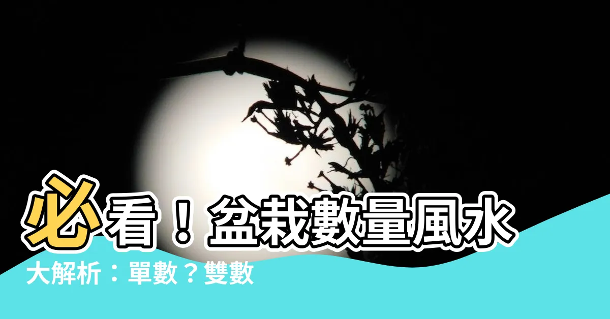 【盆栽數量風水】必看！盆栽數量風水大解析：單數？雙數？揭秘家運關鍵