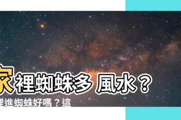 【家裡蜘蛛多風水】家裡蜘蛛多 風水？家裡進蜘蛛好嗎？這5個預兆告訴你！