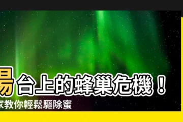【陽台 蜜蜂】陽台上的蜂巢危機！專家教你輕鬆驅除蜜蜂
