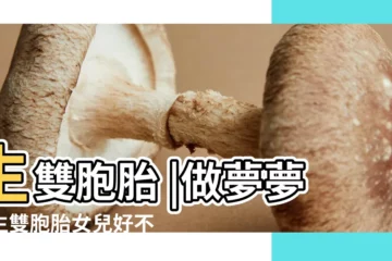 【夢見生孩子雙胞胎女兒】生雙胞胎 |做夢夢見生雙胞胎女兒好不好 |夢見生了雙胞胎女兒 |