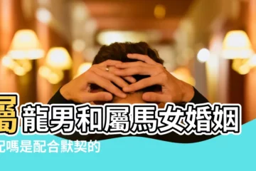 【屬馬女生和屬龍男生配嗎】屬龍男和屬馬女婚姻相配嗎是配合默契的一對 |屬龍女和屬馬男配嗎 |男龍女馬婚姻是否相配屬馬女和屬龍男的婚姻如何 |