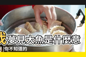 【做夢有大魚害怕想死寓意什麼意思】我夢見大魚是什麼意思啊 |你不知道的夢境啟示竟 |你做的夢是什麼意思 |
