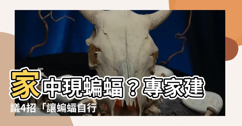 【如何讓蝙蝠飛出去】家中現蝙蝠？專家建議4招「讓蝙蝠自行飛出」！