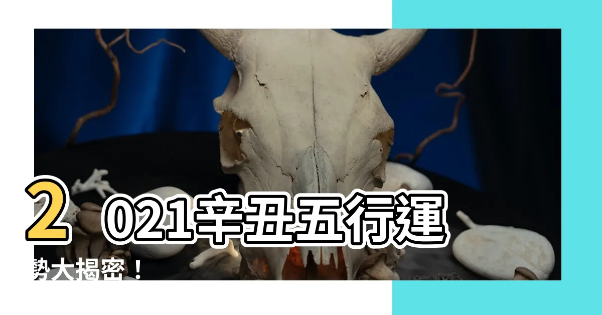 【辛丑五行】2021辛丑五行運勢大揭密！