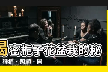 【梔子花盆栽】揭密梔子花盆栽的秘密：種植、照顧、開花，打造迷人香氛之家