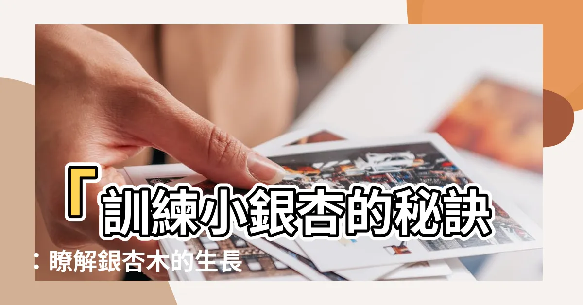 【小銀杏】「訓練小銀杏的秘訣：瞭解銀杏木的生長之道」