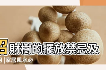 【人工水晶招財樹有用嗎】招財樹的擺放禁忌及作用 |家居風水必備招財樹如何擺放效果 |黃水晶招財樹擺放禁忌和作用 |