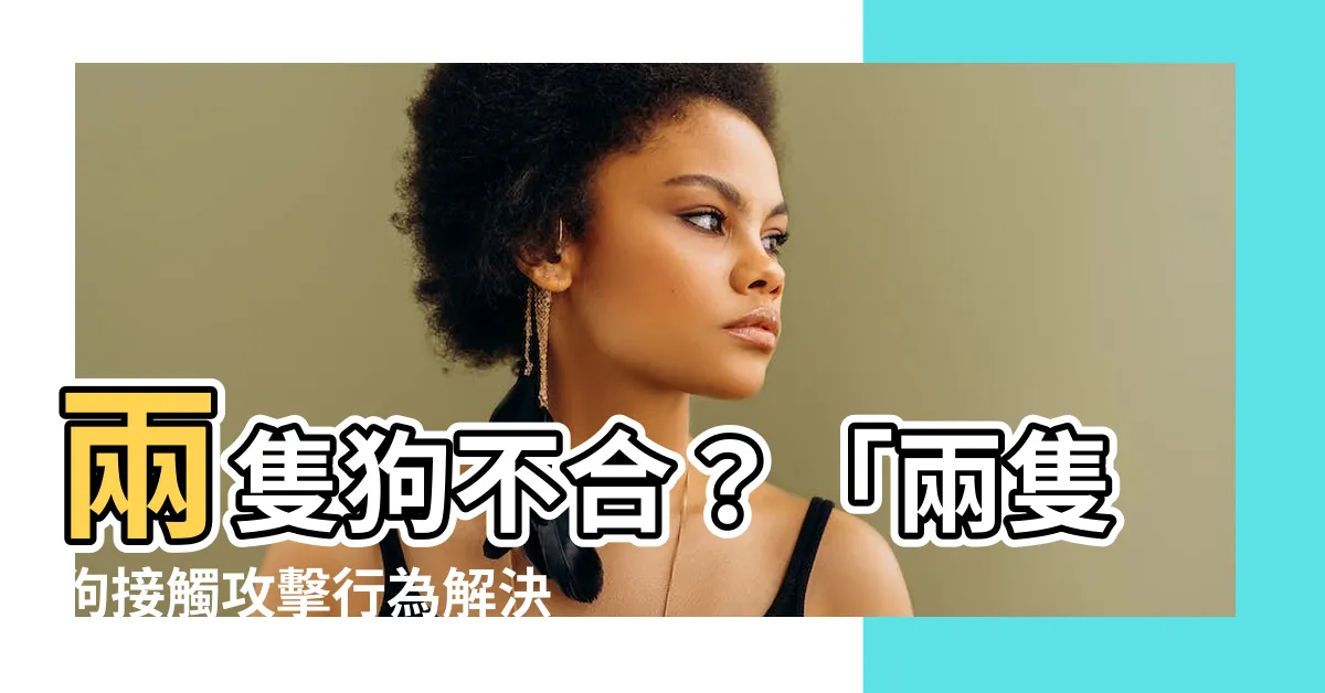 【兩隻狗不合】兩隻狗不合？「兩隻狗接觸攻擊行為解決方法」大公開