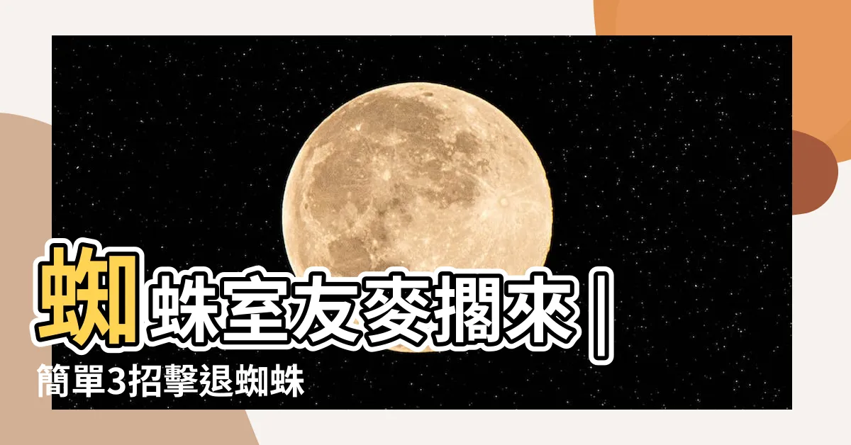 【蜘蛛絲怎麼清】蜘蛛室友麥擱來 |簡單3招擊退蜘蛛 |蜘蛛室友麥擱來 |