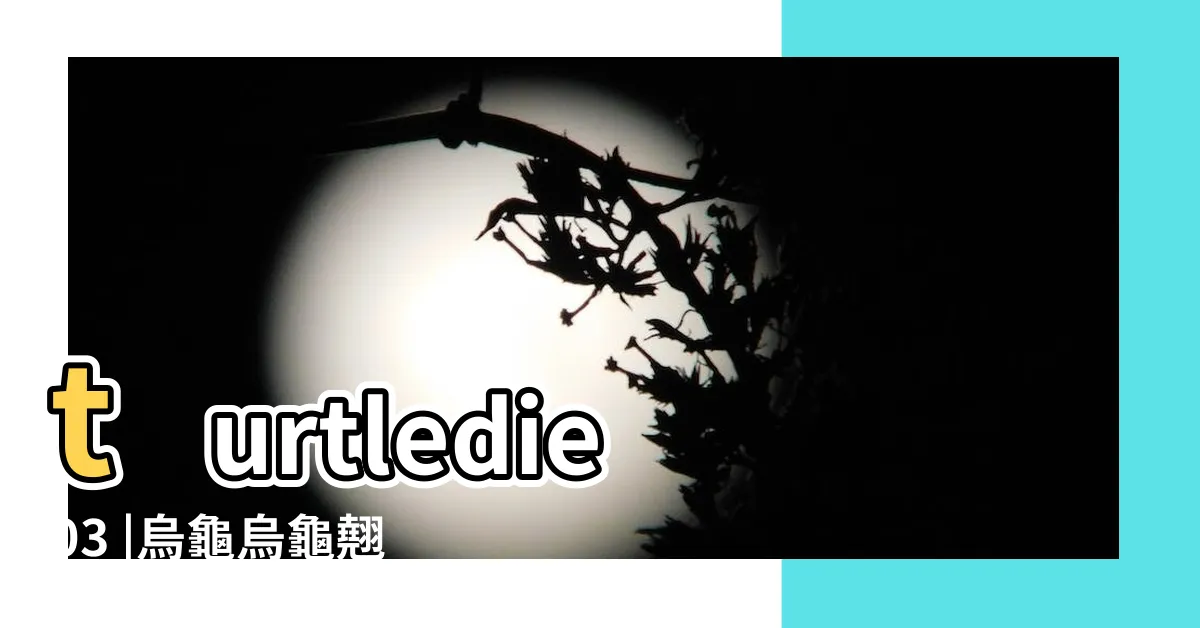 【烏龜烏龜】turtledie03 |烏龜烏龜翹辮子 |烏龜烏龜翹辮子 |
