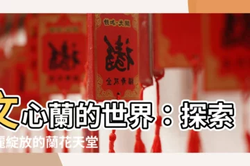 【文心蘭】文心蘭的世界：探索美麗綻放的蘭花天堂