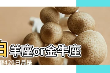 【陰曆420是什麼星座】白羊座or金牛座 |農曆420日月是什麼星座 |搜索結果 |