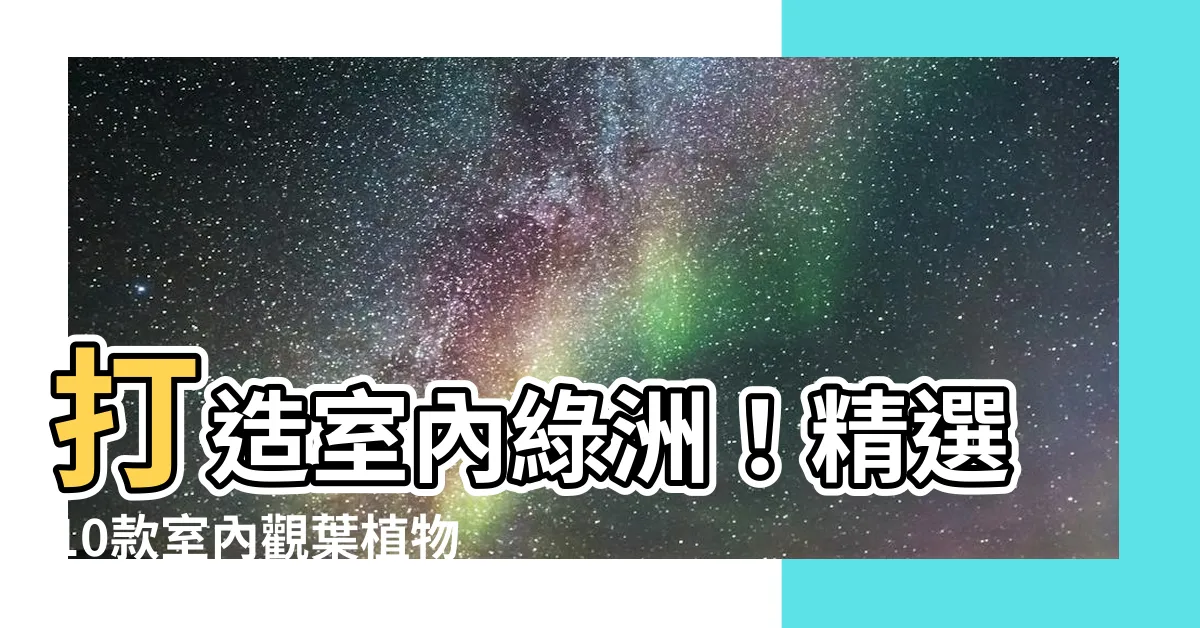 【室內觀葉植物】打造室內綠洲！精選10款室內觀葉植物，為家居增添生機