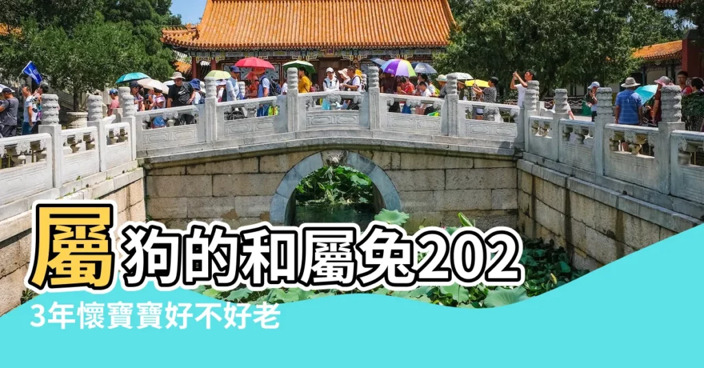 屬狗的和屬兔2023年懷寶寶好不好老公屬狗我屬兔適合在兔年 |屬狗人能生屬兔的孩子嗎 |夫妻屬狗生個兔寶寶好嗎 |【屬兔和屬狗的夫妻生孩子好不好】