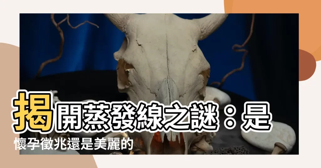 【何謂蒸發線】揭開蒸發線之謎：是懷孕徵兆還是美麗的誤會？