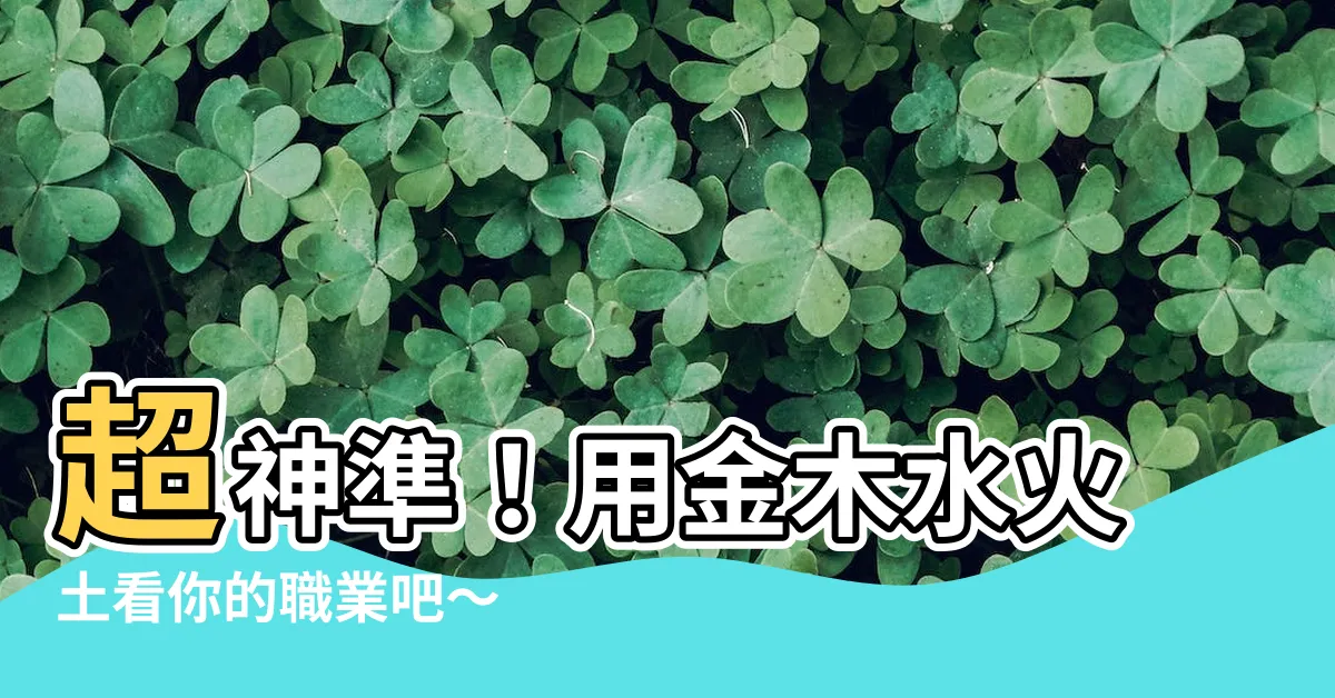 【金木水火土職業】超神準！用金木水火土看你的職業吧～
