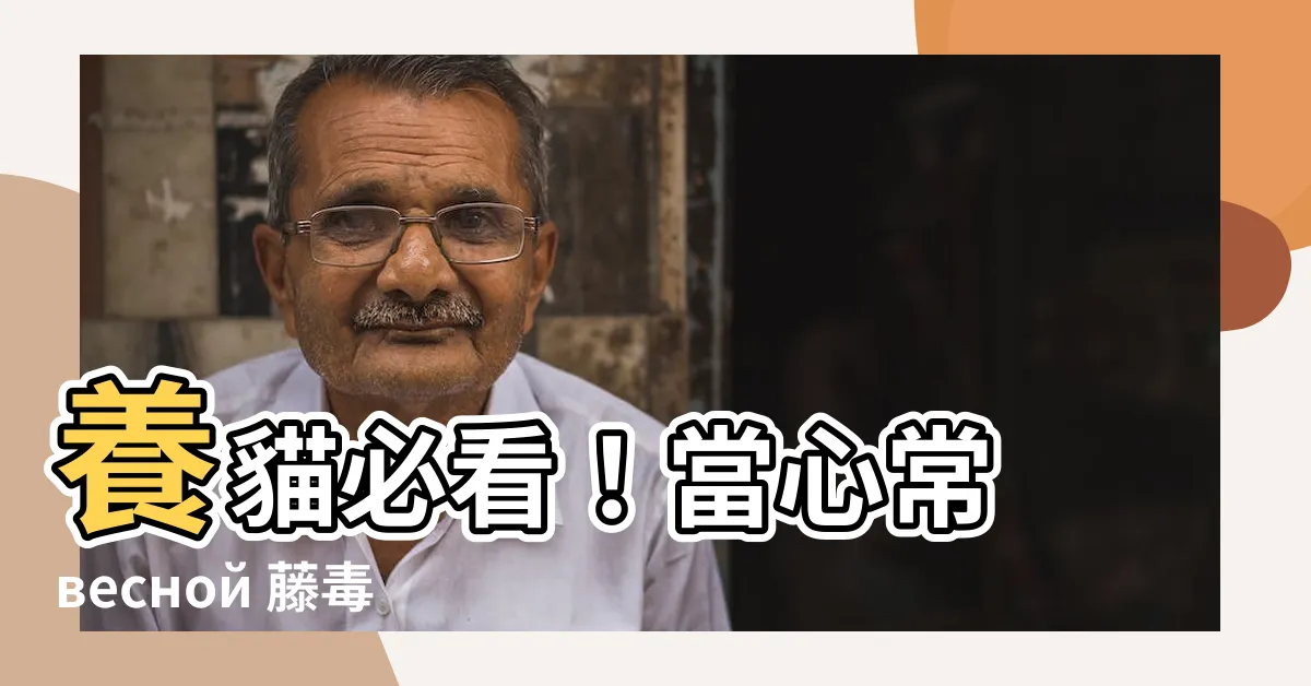 【常春藤 貓】養貓必看！當心常 весной 藤毒害愛貓