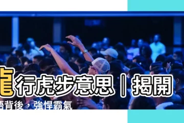 【龍行虎步意思】龍行虎步意思｜揭開成語背後，強悍霸氣的身姿與威嚴！