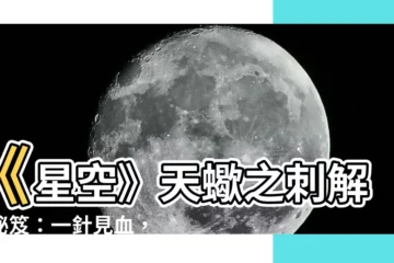 【星空 天蠍之刺】《星空》天蠍之刺解謎秘笈：一針見血，輕鬆解謎！