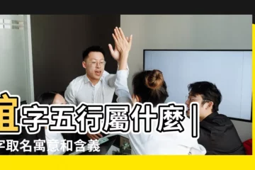 【誼字姓名學解釋】誼字五行屬什麼 |誼字取名寓意和含義 |誼字屬於五行屬什麼 |