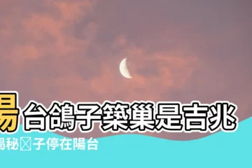 【鴿子停在陽台風水】陽台鴿子築巢是吉兆？揭秘鴿子停在陽台風水含義