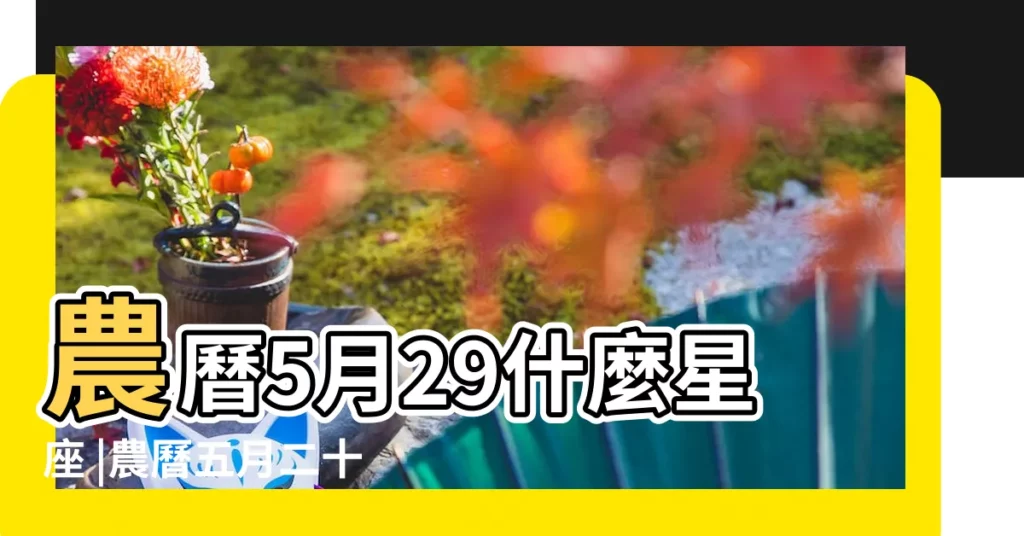 農曆5月29什麼星座 |農曆五月二十九號什麼星座 |陽曆5月29日是什麼星座公曆5月29號出生星座查詢 |【五月29農曆什麼星座】