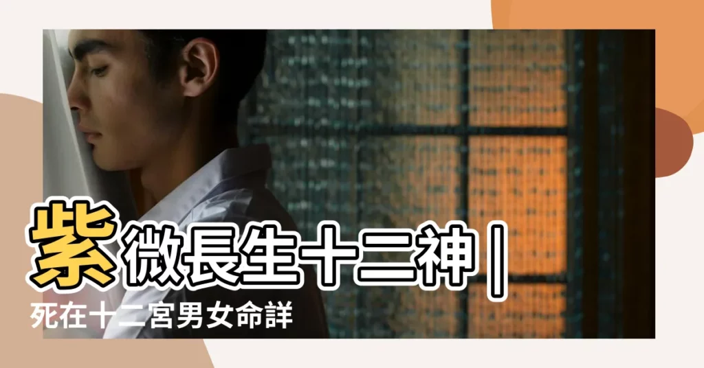 紫微長生十二神 |死在十二宮男女命詳述 |【命宮 死】