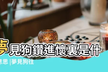 【夢見狗鑽到懷裏】夢見狗鑽進懷裏是什麼意思 |夢見狗往自己懷裡鑽 |夢見狗在自己懷裡 |