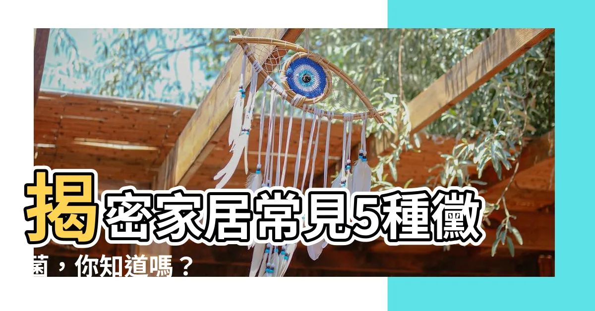 【黴菌 種類】揭密家居常見5種黴菌，你知道嗎？