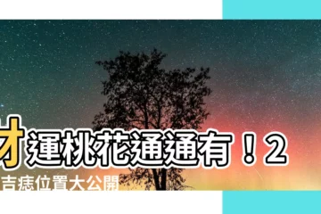 【吉痣位置】財運桃花通通有！20個吉痣位置大公開