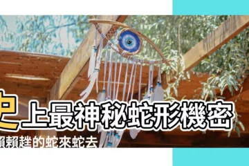 【蛇來蛇去意思】史上最神秘蛇形機密：賴賴趖的蛇來蛇去意思，讓你毛骨悚然！