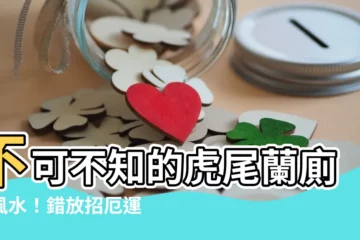 【虎尾蘭廁所風水】不可不知的虎尾蘭廁所風水！錯放招厄運，教你擺對迎財運