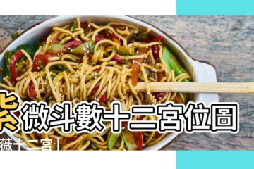 【紫薇十二宮圖】紫微斗數十二宮位圖 |紫薇十二宮 |紫微斗數的十二宮位基本説明 |