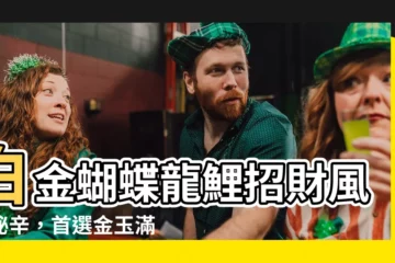 【白金蝴蝶龍鯉風水】白金蝴蝶龍鯉招財風水秘辛，首選金玉滿堂！