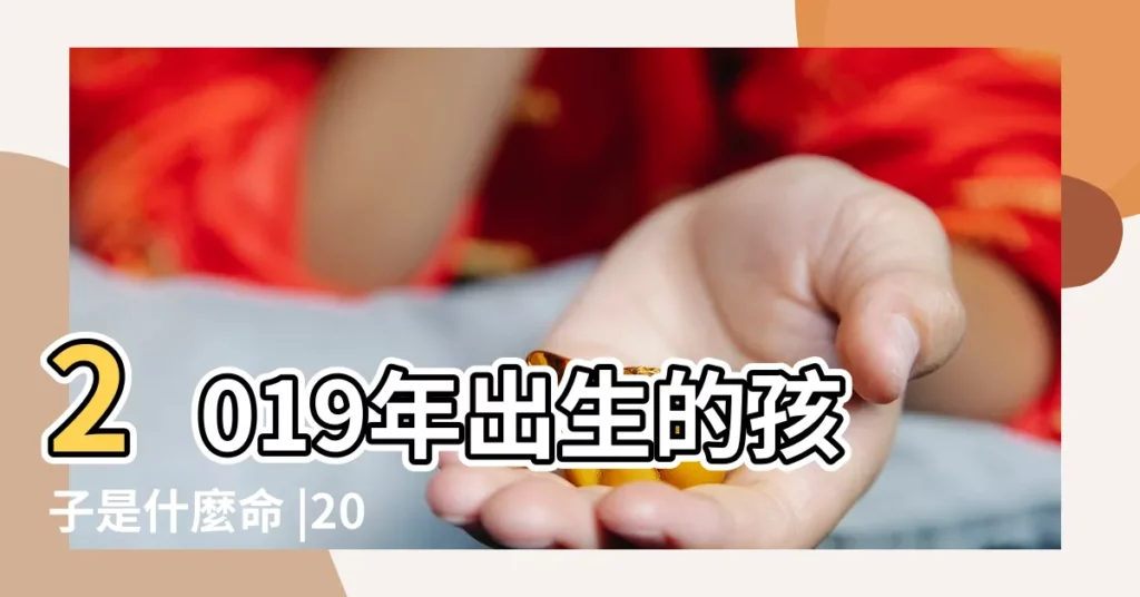 2019年出生的孩子是什麼命 |2019年出生的孩子是什麼命 |2019年想要有個豬寶寶嗎 |【2019年出生的孩子好嗎】