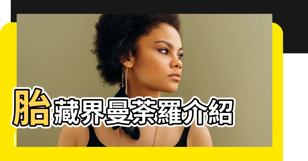 【胎藏界曼荼羅】胎藏界曼荼羅介紹 |