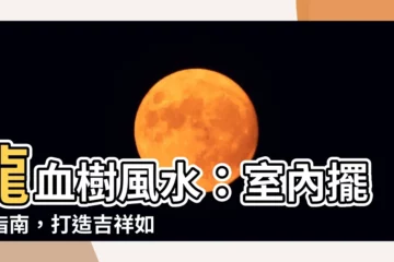 【龍血風水】龍血樹風水：室內擺放指南，打造吉祥如意家居