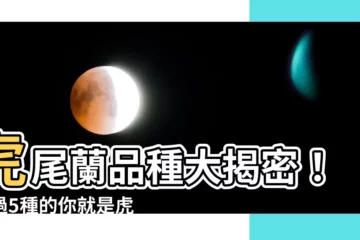 【虎尾蘭品種】虎尾蘭品種大揭密！超過5種的你就是虎尾蘭達人
