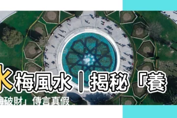 【水梅風水】水梅風水｜揭秘「養水梅破財」傳言真假，保你財運亨通！