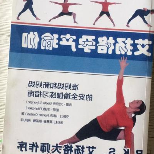 2、艾揚格《瑜伽之光》中文電子書,最好是pdf版,請發到@.com,非常感謝 .