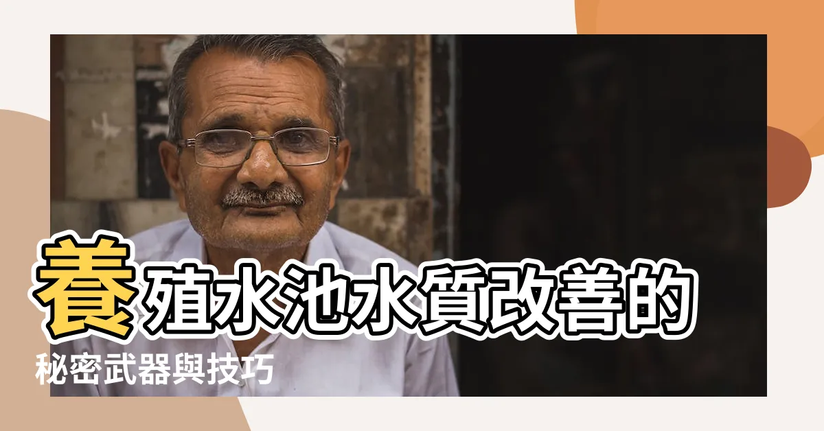 【池塘水質改善方法】養殖水池水質改善的秘密武器與技巧