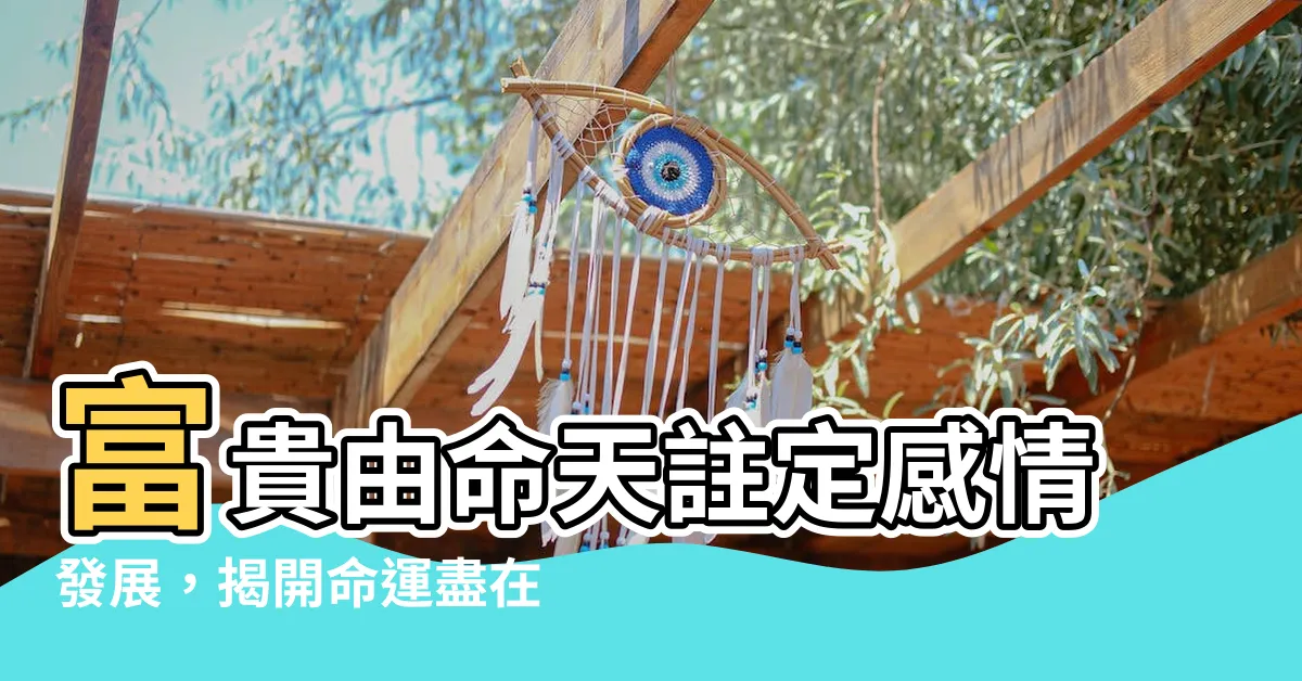 【富貴由命天註定感情發展】富貴由命天註定感情發展，揭開命運盡在其中的神秘