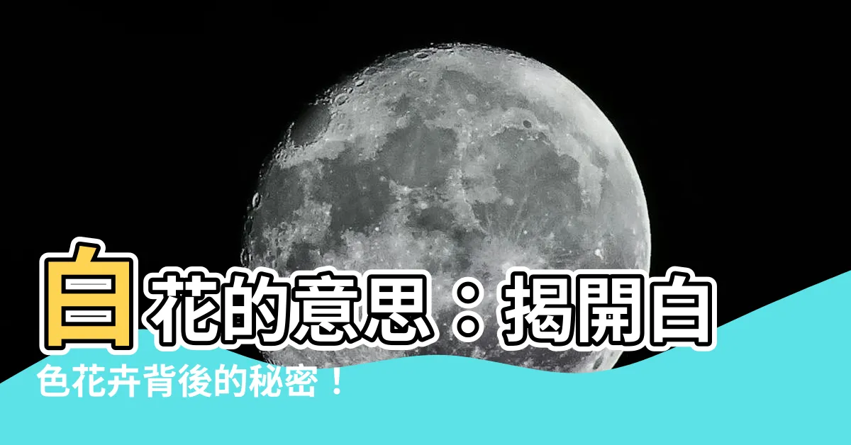 【白花意思】白花的意思:揭開白色花卉背後的秘密!