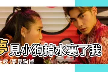 【孕婦夢見狗掉到水裏救起來】夢見小狗掉水裏了我下去救 |夢見狗掉進水裡 |夢見狗掉水裡 |