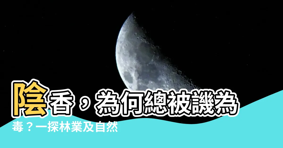 【陰香有毒嗎】陰香，為何總被譏為毒？一探林業及自然保育署的危生態取向