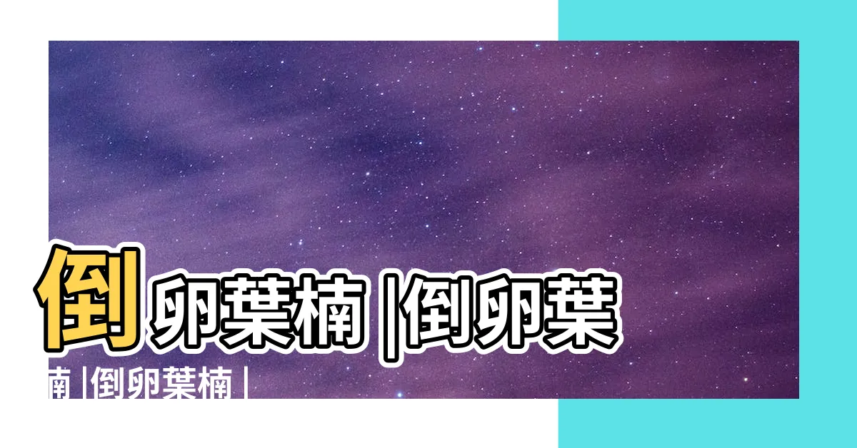 【青龍珠樹】倒卵葉楠 |倒卵葉楠 |倒卵葉楠 |