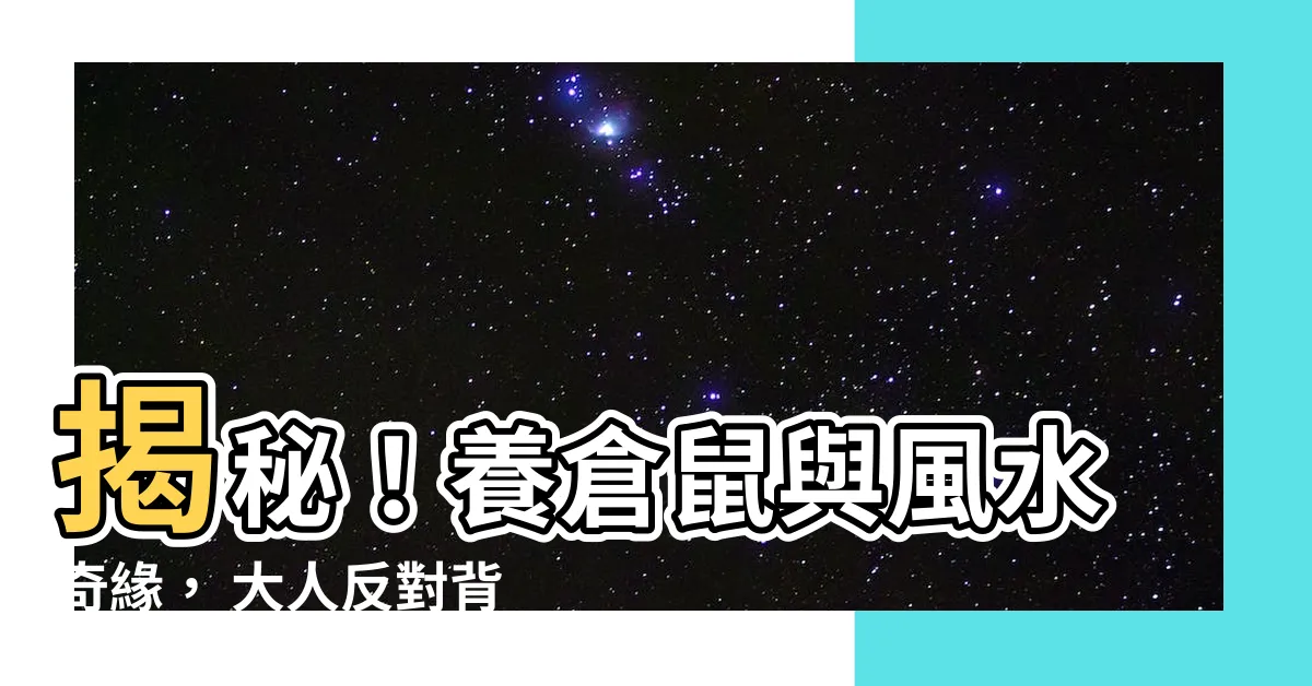 【養倉鼠風水】揭秘！養倉鼠與風水奇緣， 大人反對背後的秘密