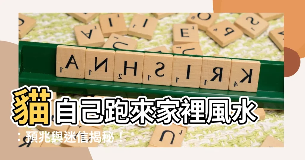 【貓自己跑來】貓自己跑來家裡風水:預兆與迷信揭秘!