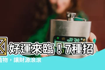 【招財 植物】💰好運來臨！7種招財植物，讓財源滾滾不絕💰